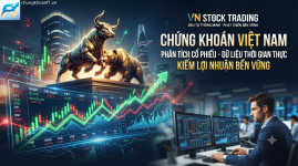 Tổng quan các dịch vụ tư vấn uy tín của chứng khoán F1.png